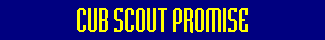 Cub Scout Promise Banner