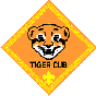Tiger Patch