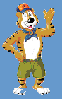 Tiger Picture
